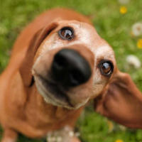 利用geopandas地图白化